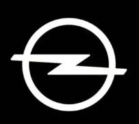 OPEL 39028913 - SENSOR APARCAMIENTO